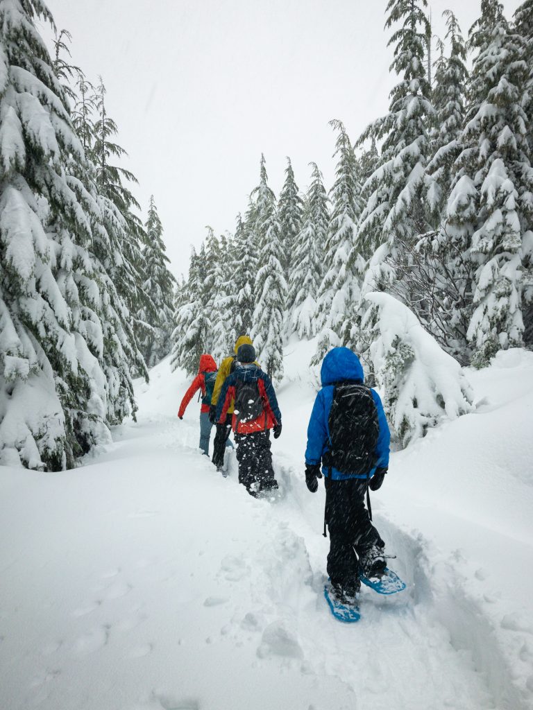 Snowshoeing Niseko