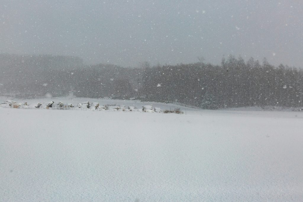 niseko after a snow storm