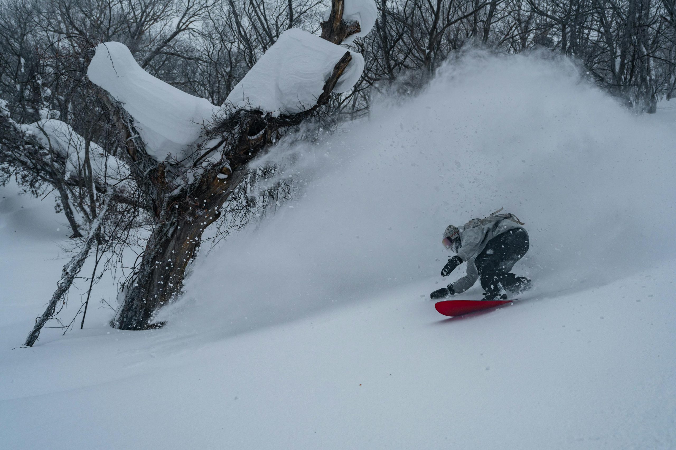 Hakuba Ski Guide