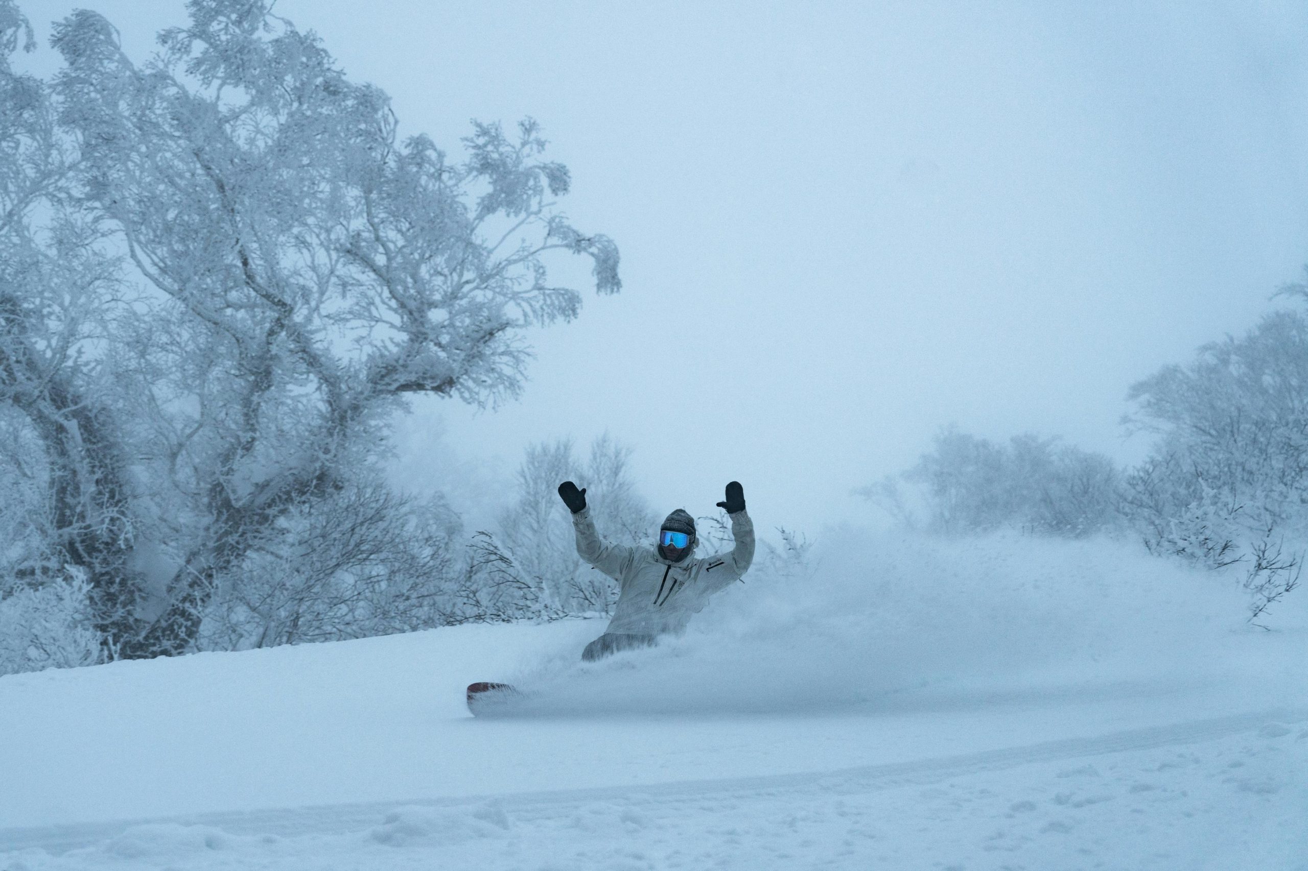 Hakuba season pass