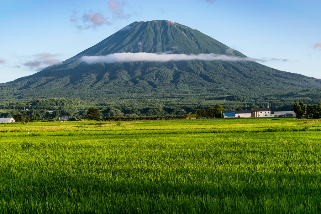 Mount Yotei in Summer